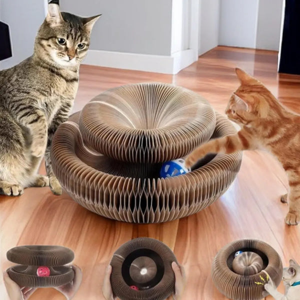 Magic Cat Adventure Board